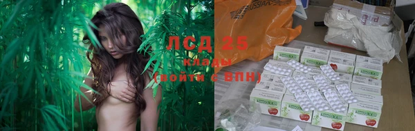 прущий лед Пестово