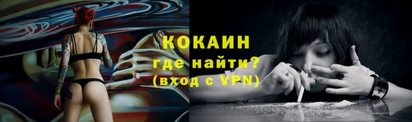 прущий лед Пестово