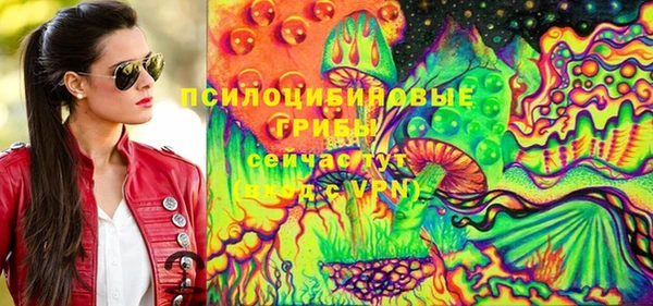 прущий лед Пестово