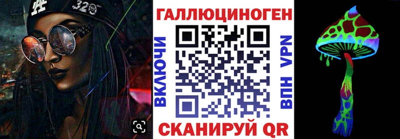 KRAKEN зеркало  Уяр  Галлюциногенные грибы GOLDEN TEACHER 